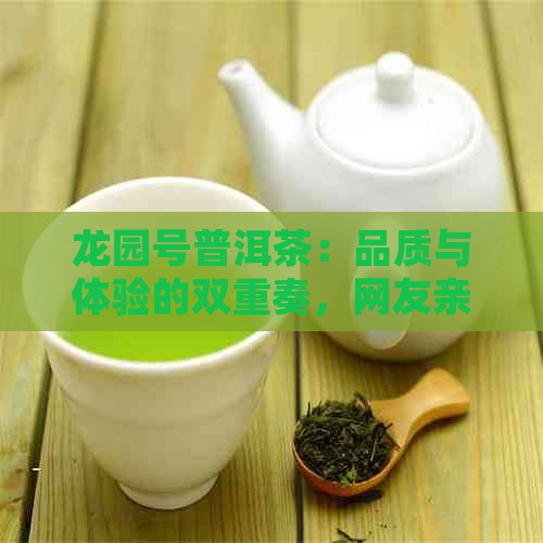 龙园号普洱茶：品质与体验的双重奏，网友亲历分享真实感受