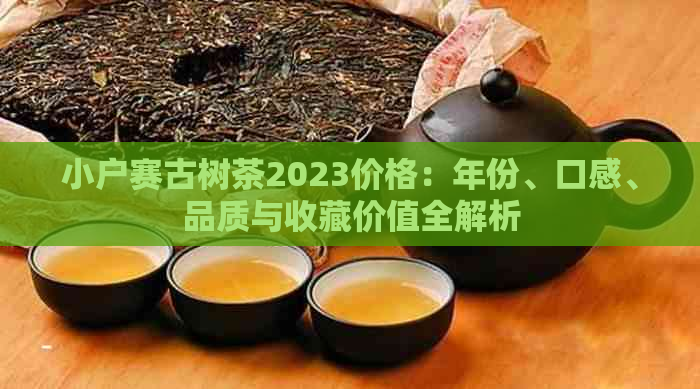 小户赛古树茶2023价格：年份、口感、品质与收藏价值全解析