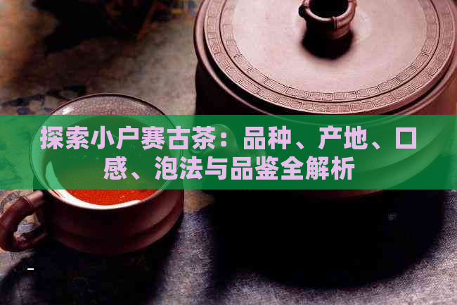 探索小户赛古茶：品种、产地、口感、泡法与品鉴全解析