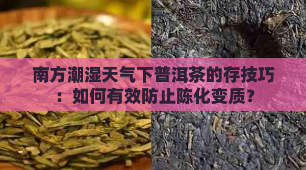 南方潮湿天气下普洱茶的存技巧：如何有效防止陈化变质？