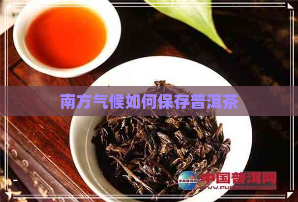 南方气候如何保存普洱茶