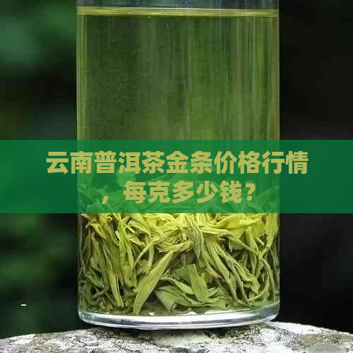 云南普洱茶金条价格行情，每克多少钱？