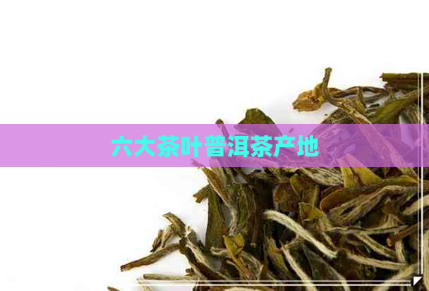 六大茶叶普洱茶产地