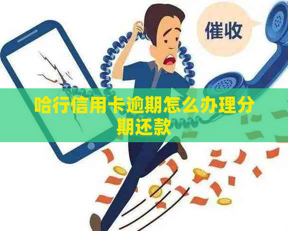 哈行信用卡逾期怎么办理分期还款