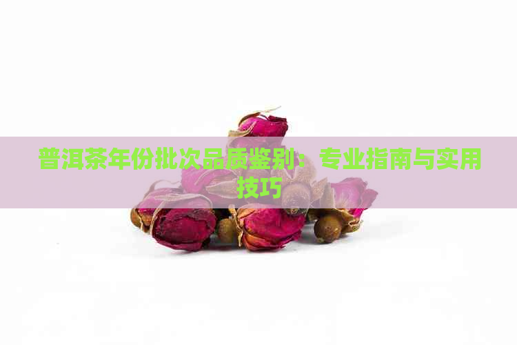 普洱茶年份批次品质鉴别：专业指南与实用技巧