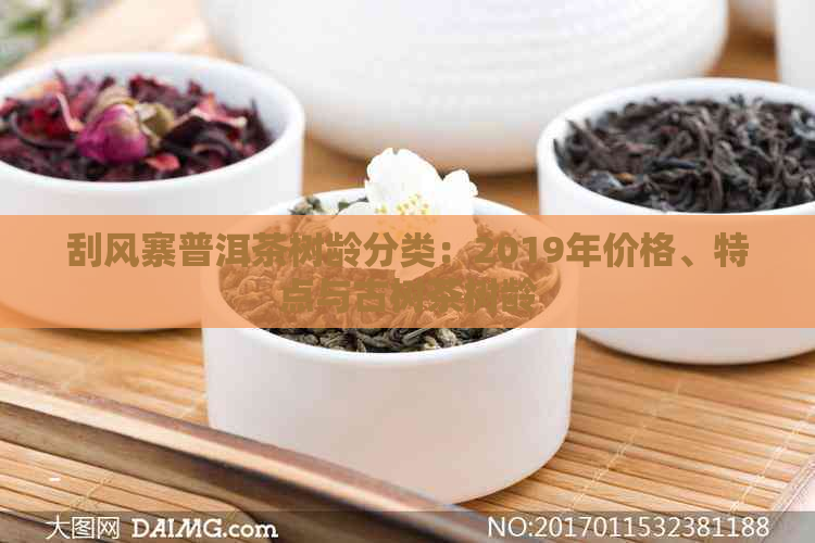 刮风寨普洱茶树龄分类：2019年价格、特点与古树茶树龄