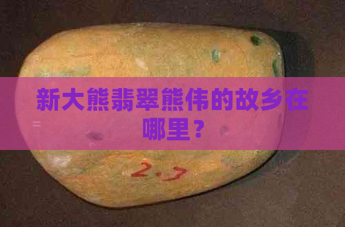 新大熊翡翠熊伟的故乡在哪里？