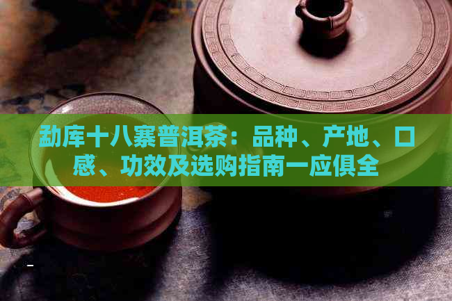 勐库十八寨普洱茶：品种、产地、口感、功效及选购指南一应俱全