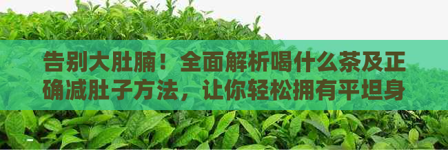 告别大肚腩！全面解析喝什么茶及正确减肚子方法，让你轻松拥有平坦身材