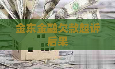 金东金融欠款起诉后果