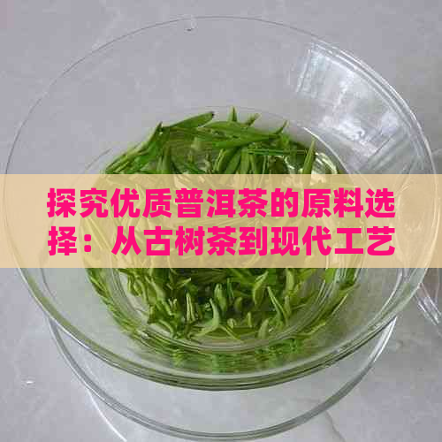 探究优质普洱茶的原料选择：从古树茶到现代工艺的全解析