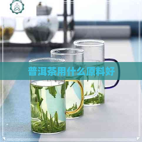 普洱茶用什么原料好