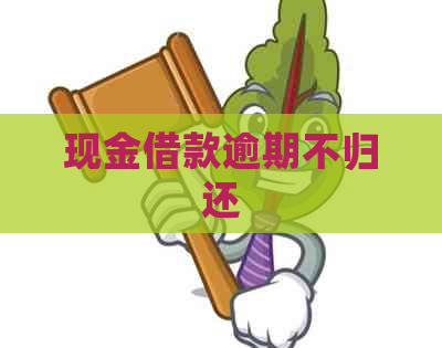 现金借款逾期不归还