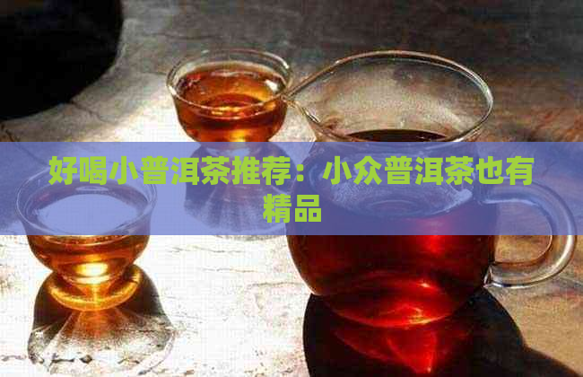 好喝小普洱茶推荐：小众普洱茶也有精品