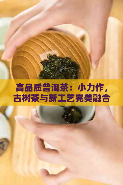 高品质普洱茶：小力作，古树茶与新工艺完美融合推荐