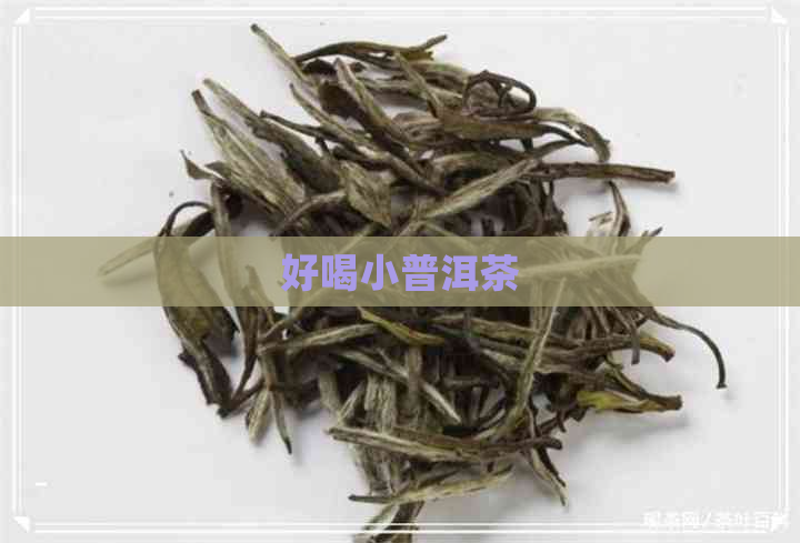 好喝小普洱茶