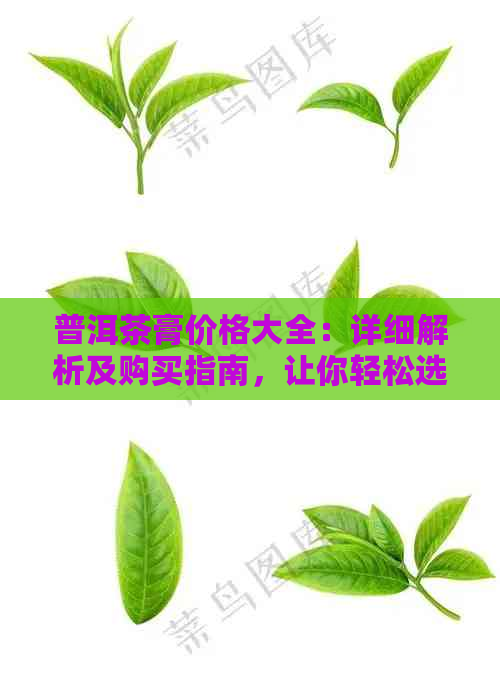 普洱茶膏价格大全：详细解析及购买指南，让你轻松选购最合适的产品