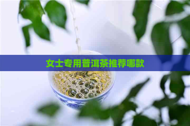 女士专用普洱茶推荐哪款