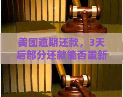 美团逾期还款，3天后部分还款能否重新借款？详细解答与建议