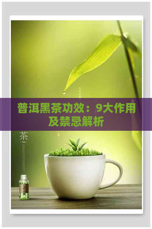 普洱黑茶功效：9大作用及禁忌解析