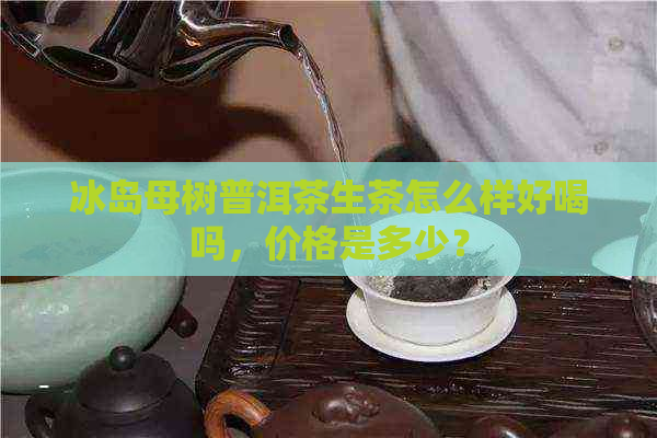 冰岛母树普洱茶生茶怎么样好喝吗，价格是多少？