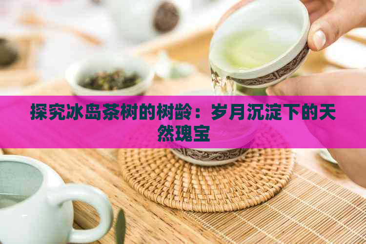 探究冰岛茶树的树龄：岁月沉淀下的天然瑰宝