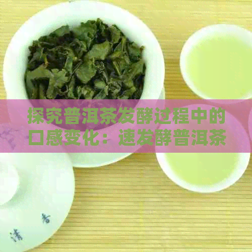 探究普洱茶发酵过程中的口感变化：速发酵普洱茶是否真的好喝？