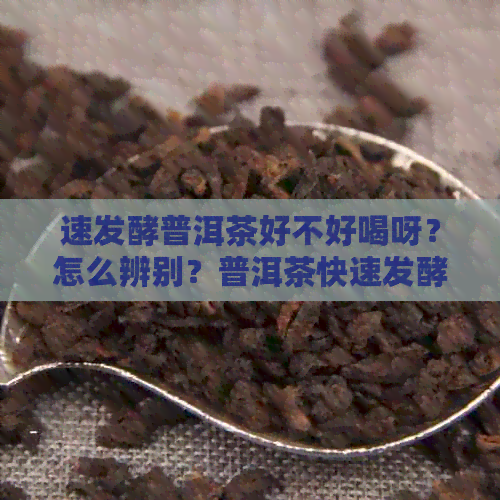 速发酵普洱茶好不好喝呀？怎么辨别？普洱茶快速发酵，功效与作用是什么茶？