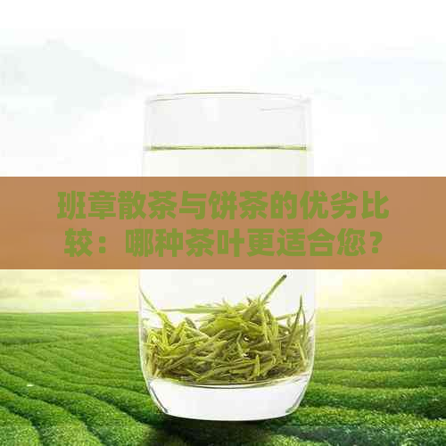 班章散茶与饼茶的优劣比较：哪种茶叶更适合您？