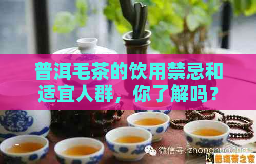 普洱毛茶的饮用禁忌和适宜人群，你了解吗？