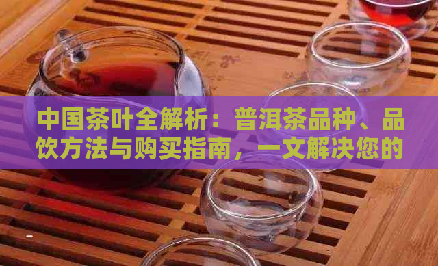 中国茶叶全解析：普洱茶品种、品饮方法与购买指南，一文解决您的所有疑问