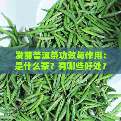 发酵普洱茶功效与作用：是什么茶？有哪些好处？有什么禁忌？