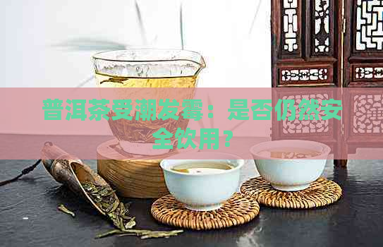 普洱茶受潮发霉：是否仍然安全饮用？