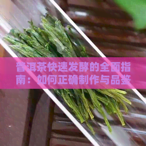 普洱茶快速发酵的全面指南：如何正确制作与品鉴？