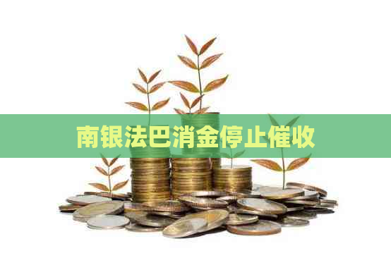 南银法巴消金停止