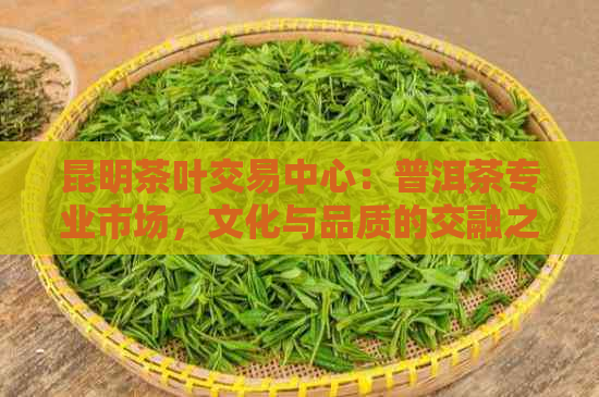 昆明茶叶交易中心：普洱茶专业市场，文化与品质的交融之地