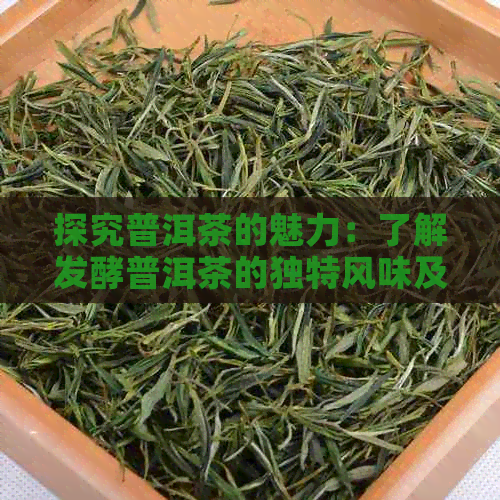 探究普洱茶的魅力：了解发酵普洱茶的独特风味及其分类