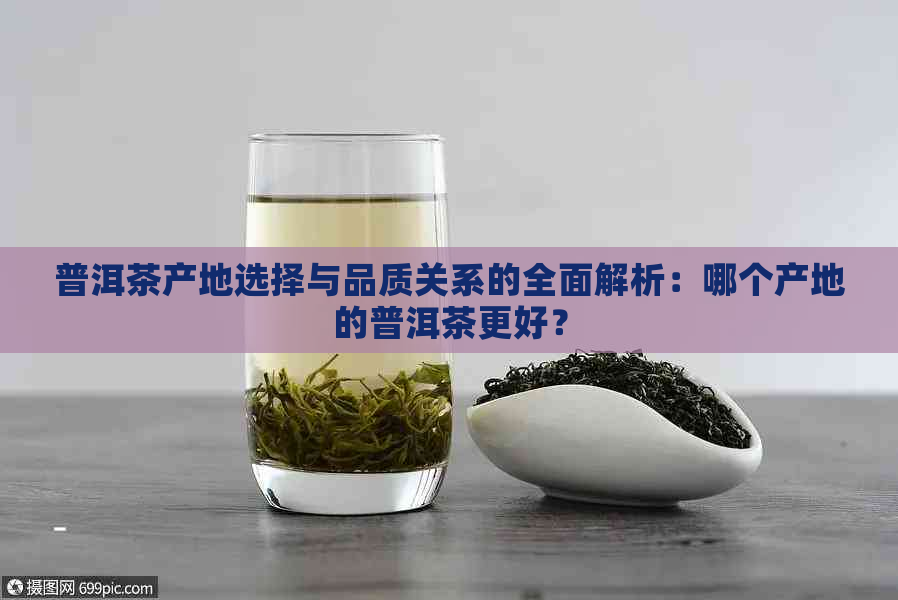 普洱茶产地选择与品质关系的全面解析：哪个产地的普洱茶更好？