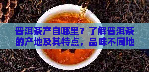 普洱茶产自哪里？了解普洱茶的产地及其特点，品味不同地区的风味