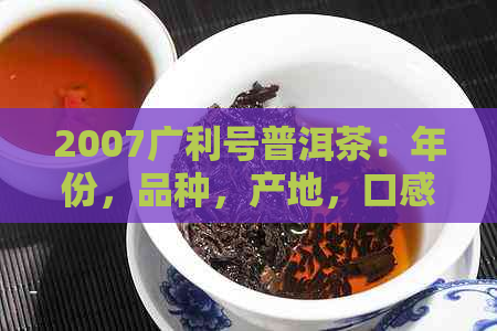 2007广利号普洱茶：年份，品种，产地，口感，陈化潜力全方位解析