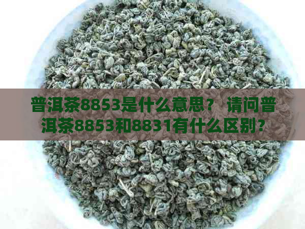 普洱茶8853是什么意思？ 请问普洱茶8853和8831有什么区别？