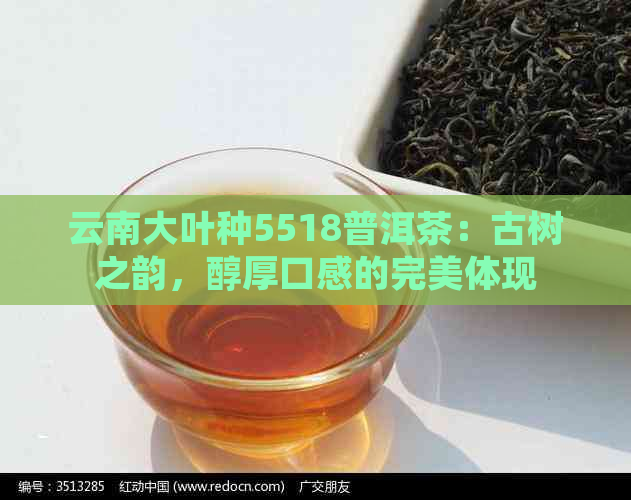 云南大叶种5518普洱茶：古树之韵，醇厚口感的完美体现