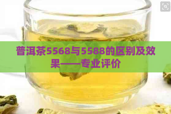 普洱茶5568与5588的区别及效果——专业评价