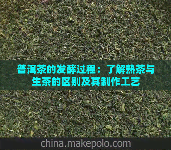 普洱茶的发酵过程：了解熟茶与生茶的区别及其制作工艺