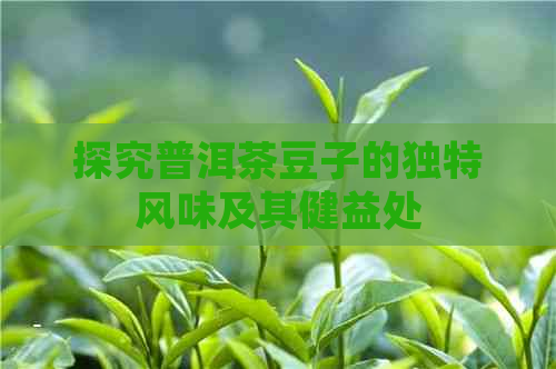 探究普洱茶豆子的独特风味及其健益处