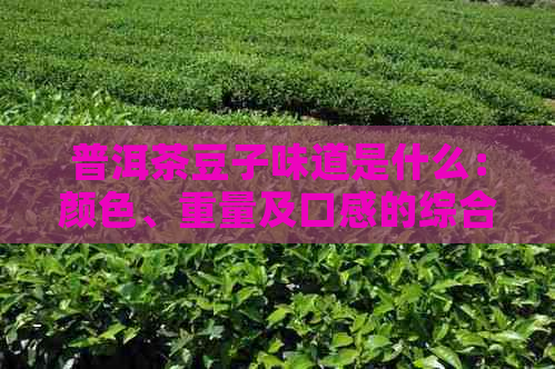 普洱茶豆子味道是什么：颜色、重量及口感的综合描述。