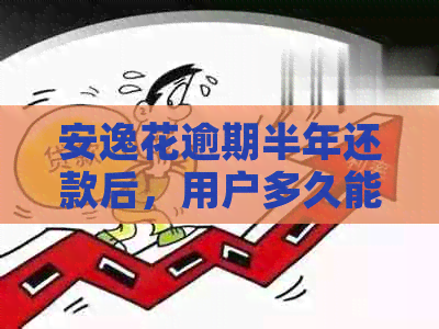 安逸花逾期半年还款后，用户多久能再次借款？还有其他可能的解决方案吗？