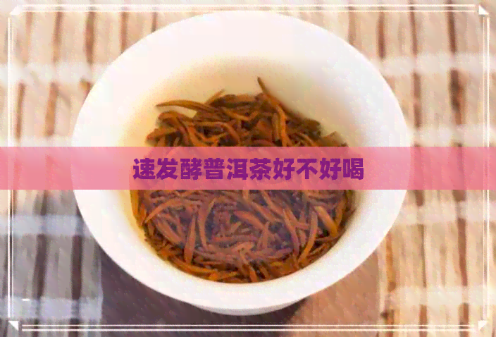 速发酵普洱茶好不好喝