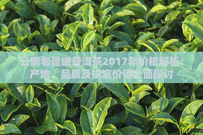 云南老曼峨普洱茶2017年价格解析：产地、品质及投资价值全面探讨