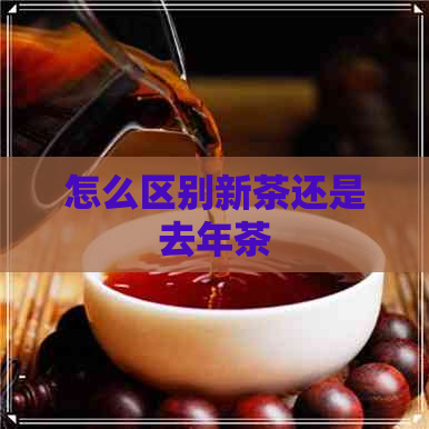 怎么区别新茶还是去年茶